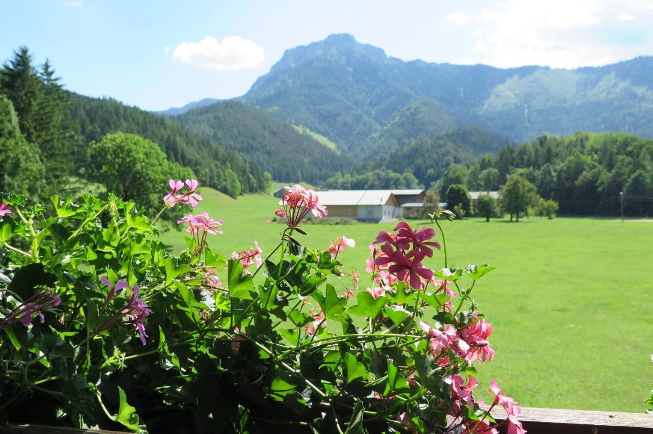 Apartamento Gaestehaus Wasserburger Kernhof Exterior foto